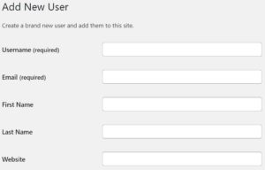 Add new user to give someone a secure access to your WordPress website