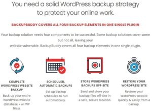 Backup Buddy is the best WordPress Backup Plugin to Protect Your Blog or Website