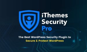 iThemes Security Pro is the most complete, reliable and affordable WordPress security service out there