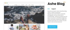 Improve your website structure with the premium WordPress theme Ashe PRO by WP Royal