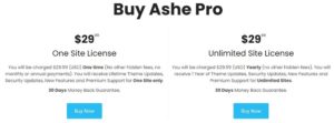 Buy the most affordable WordPress theme Ashe PRO