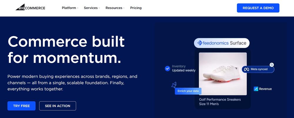 Screenshot of BIGcommerce, a platform for e-commerce