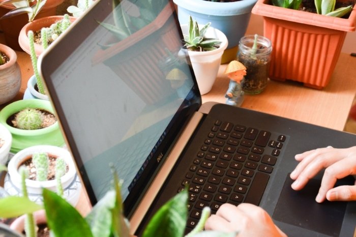 Woman writes on a laptop keyboard in a cozy home office that improves focus.